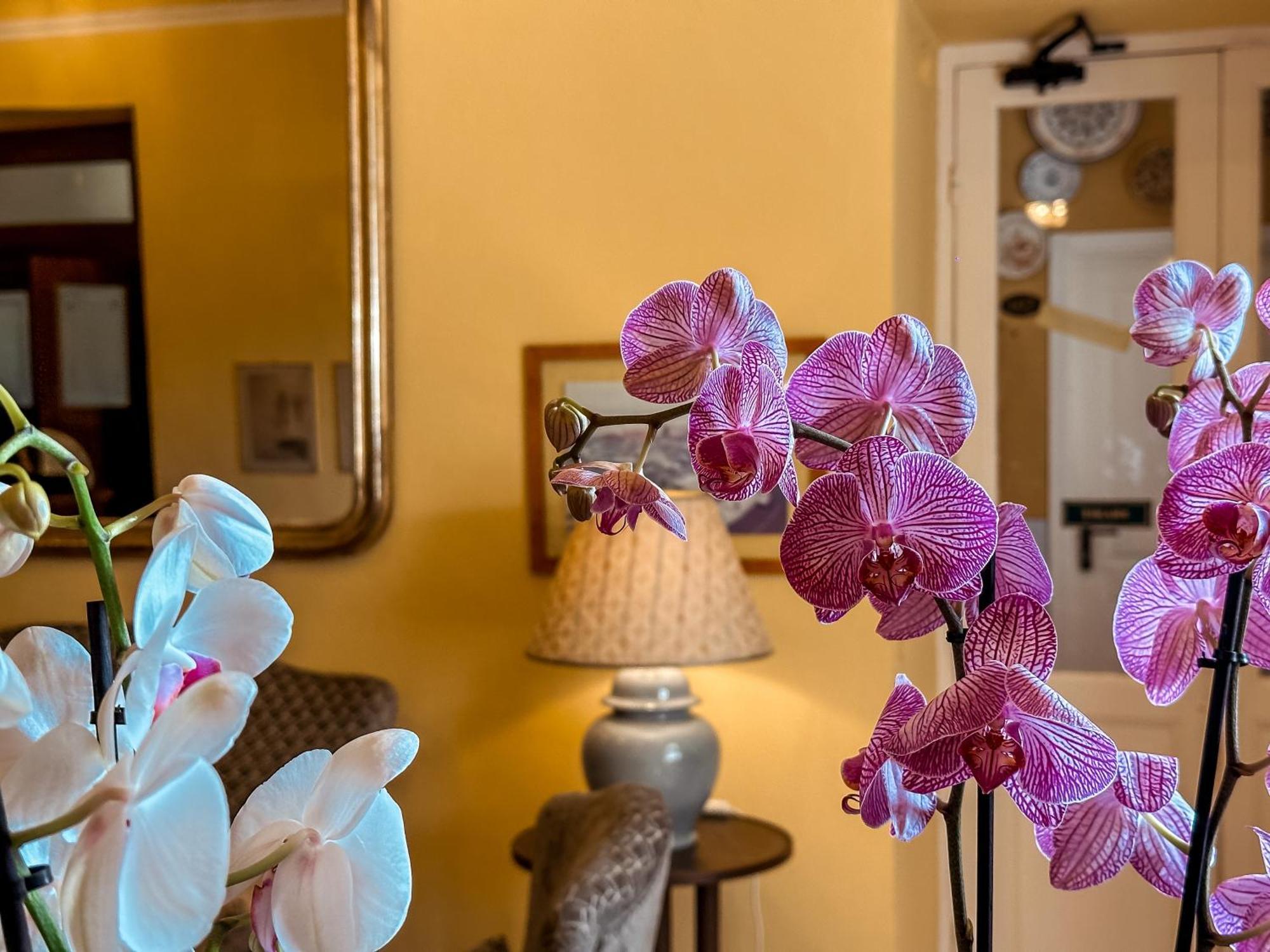 Hotel Villa Anita Santa Margherita Ligure Zewnętrze zdjęcie